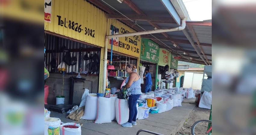 En el mercado de Jinotega el frijol, maíz y tomate, bajaron de precio esta semana. Foto: Masiel Zeledón En el mercado de Jinotega el frijol, maíz y tomate, bajaron de precio esta semana. Foto: Masiel Zeledón