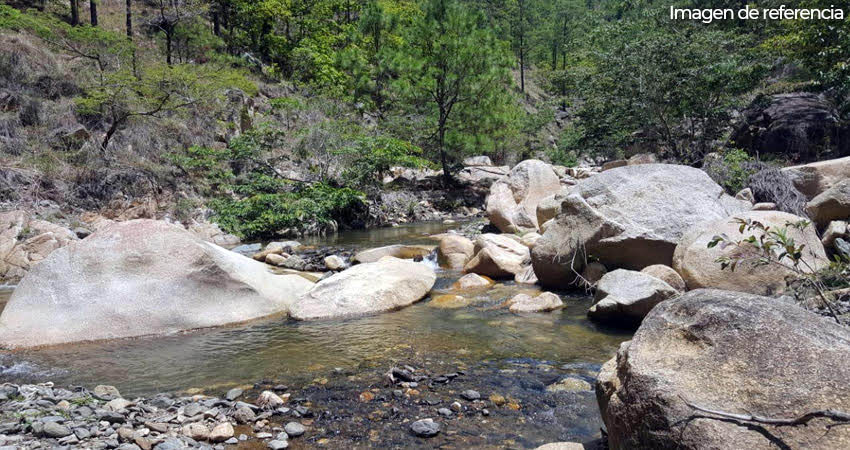 Sequía reduce el caudal de los ríos. Foto: Imagen de referencia Sequía reduce el caudal de los ríos. Foto: Imagen de referencia