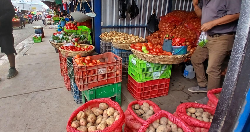 La papa también disminuyó de precio en el mercado Alfredo Lazo. Foto: Byron Altamirano/Radio ABC Stereo La papa también disminuyó de precio en el mercado Alfredo Lazo. Foto: Byron Altamirano/Radio ABC Stereo