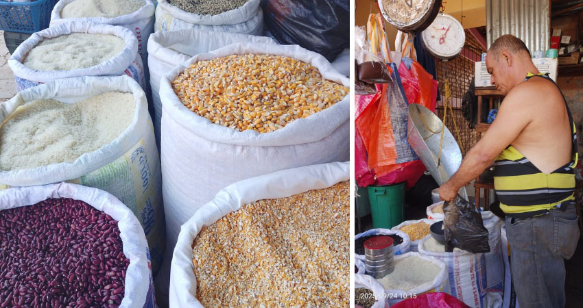 Granos básicos aumentan de precio en mercado de Ocotal. Foto: Marvin Gadea/Radio ABC Stereo Granos básicos aumentan de precio en mercado de Ocotal. Foto: Marvin Gadea/Radio ABC Stereo