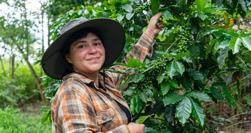 Nestlé reafirma su compromiso con la sostenibilidad de la caficultura. Foto: Nestlé Nicaragua Nestlé reafirma su compromiso con la sostenibilidad de la caficultura. Foto: Nestlé Nicaragua