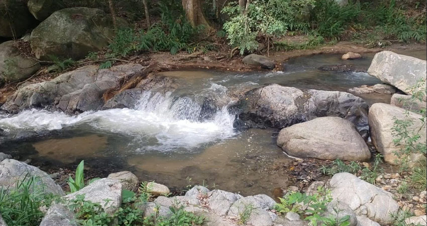 La campaña pretende hacer conciencia para no contaminar el Río Dipilto. Foto: José Enrique Ortega/Radio ABC Stereo La campaña pretende hacer conciencia para no contaminar el Río Dipilto. Foto: José Enrique Ortega/Radio ABC Stereo