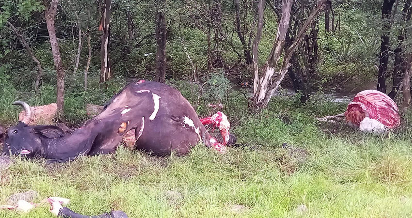 La policía realiza las investigaciones del caso. Foto: Cortesía/Radio ABC Stereo