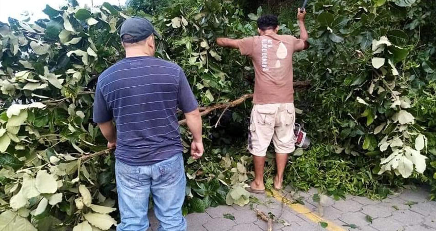 El motociclista sufrió lesiones de consideración. Foto: Cortesía/Radio ABC Stereo
