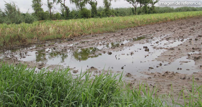 Imagen con fines ilustrativos.