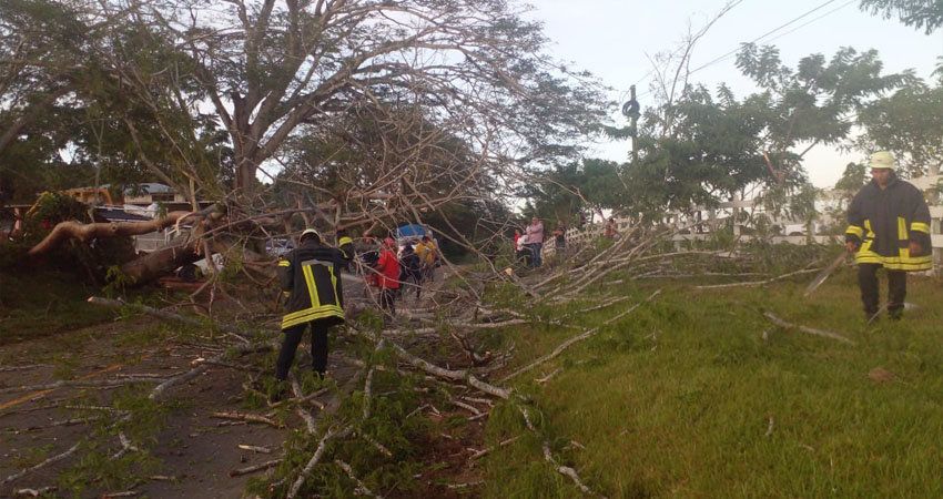 Bomberos e instituciones del Estado despejaron la vía. Foto: Cortesía/Radio ABC Stereo Bomberos e instituciones del Estado despejaron la vía. Foto: Cortesía/Radio ABC Stereo