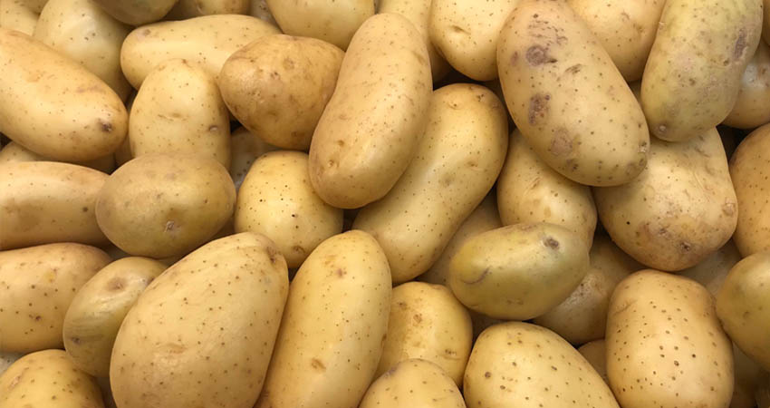 La libra de papa más cara en mercados jinoteganos. Foto: Imagen de Referencia La libra de papa más cara en mercados jinoteganos. Foto: Imagen de Referencia