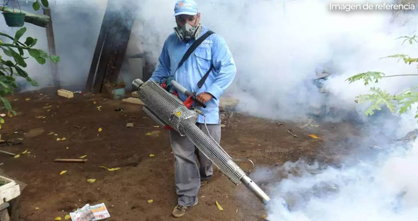Eliminar criaderos de mosquitos evita propagación de enfermedades. Foto: Imagen de referencia Eliminar criaderos de mosquitos evita propagación de enfermedades. Foto: Imagen de referencia
