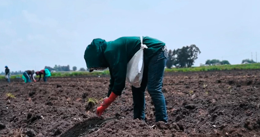 Estas mujeres asumen el trabajo doméstico y agrícola. Foto: Referencia/Radio ABC Stereo Estas mujeres asumen el trabajo doméstico y agrícola. Foto: Referencia/Radio ABC Stereo