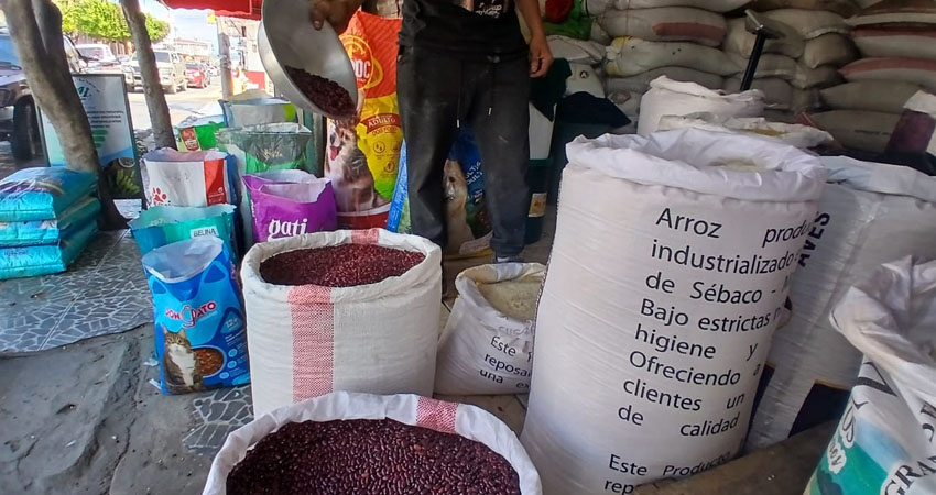 El maíz y el frijol rojo son los granos que han mantenido estables sus precios.
