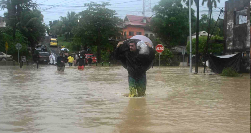 Imagen de referencia Imagen de referencia