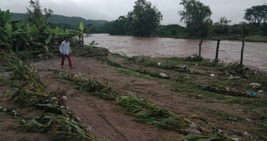 Imagen cortesía Imagen cortesía