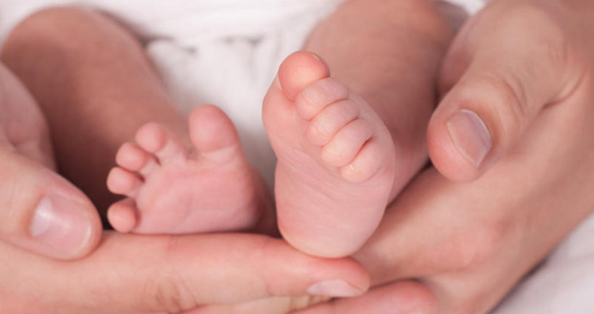 Imagen de referencia Imagen de referencia