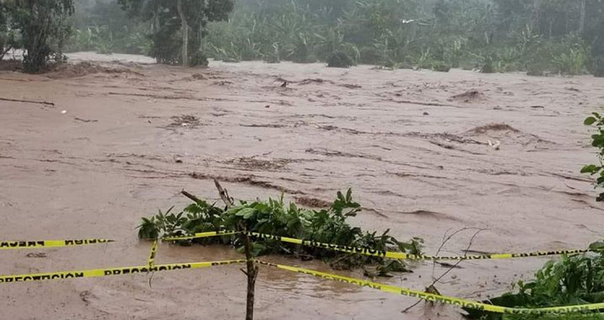 Imagen de referencia Imagen de referencia