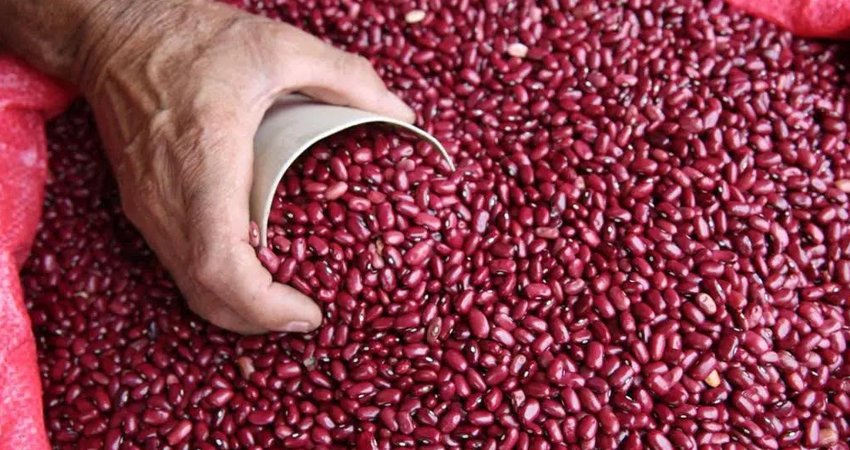 Jalapa es el municipio más productivo de Nueva Segovia. Foto de referencia. Jalapa es el municipio más productivo de Nueva Segovia. Foto de referencia.