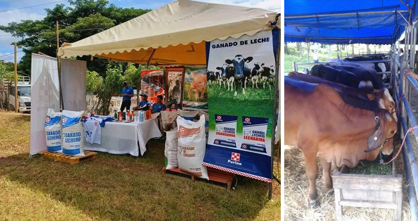 La actividad se realiza en el marco de la celebración por la creación del departamento de Madriz. Fotos: Cortesía/Radio ABC Stereo La actividad se realiza en el marco de la celebración por la creación del departamento de Madriz. Fotos: Cortesía/Radio ABC Stereo