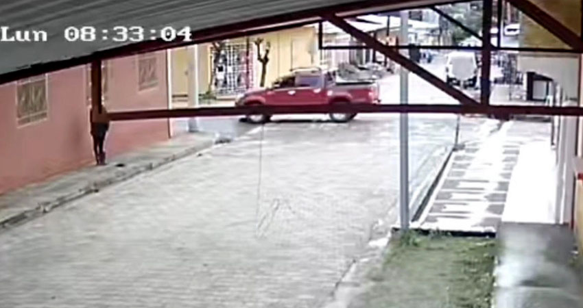 La mascota quedó gravemente herida. Foto: Captura de pantalla/Radio ABC Stereo La mascota quedó gravemente herida. Foto: Captura de pantalla/Radio ABC Stereo