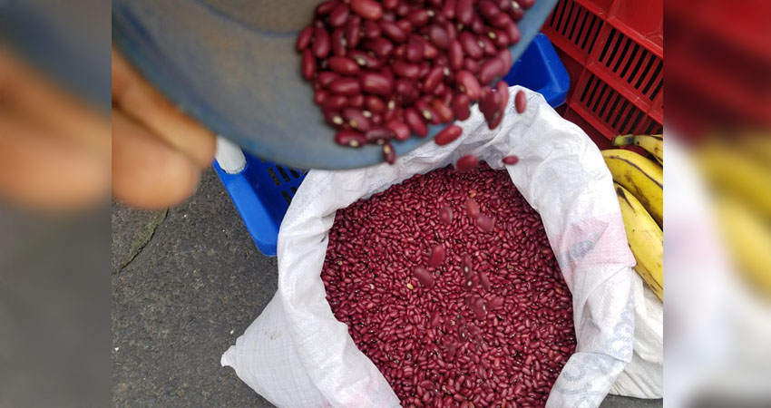 Se estima que a mediados de diciembre llegarán los frijoles a los mercados. Foto: Archivo/Radio ABC Stereo