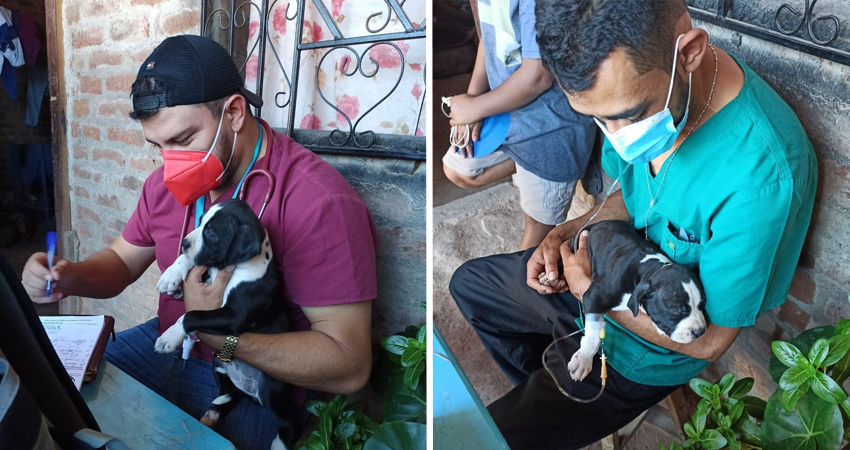 El servicio estará disponible a domicilio. Foto: Cortesía/Radio ABC Stereo