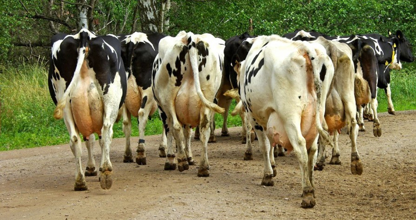 Según la policía, el adolescente viajaba a exceso de velocidad. Foto de referencia.