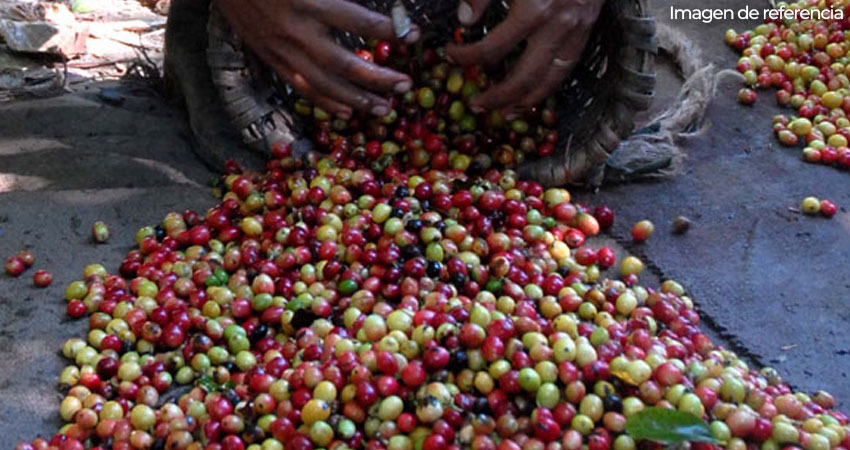 El robo ocurrió en la empresa de CISA S.A, ubicada en la comarca El Galope. Imagen de referencia