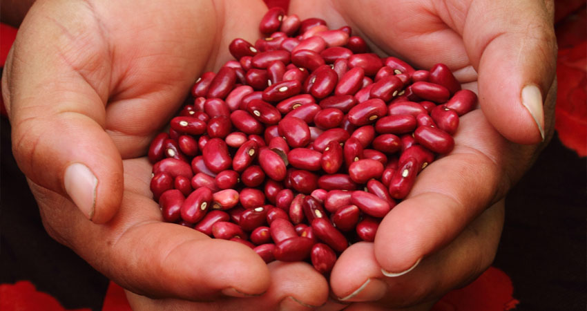 Las lluvias que se registraron afectaron gravemente la producción en la zona. Foto: Archivo/Radio ABC Stereo