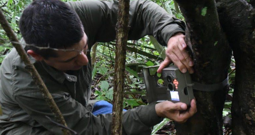 Las cámaras forman parte del plan de monitoreo de la biodiversidad. Foto: MARENA Las cámaras forman parte del plan de monitoreo de la biodiversidad. Foto: MARENA