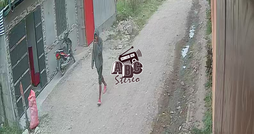 Imagen del presunto ladrón. Foto: Cortesía/Radio ABC Stereo